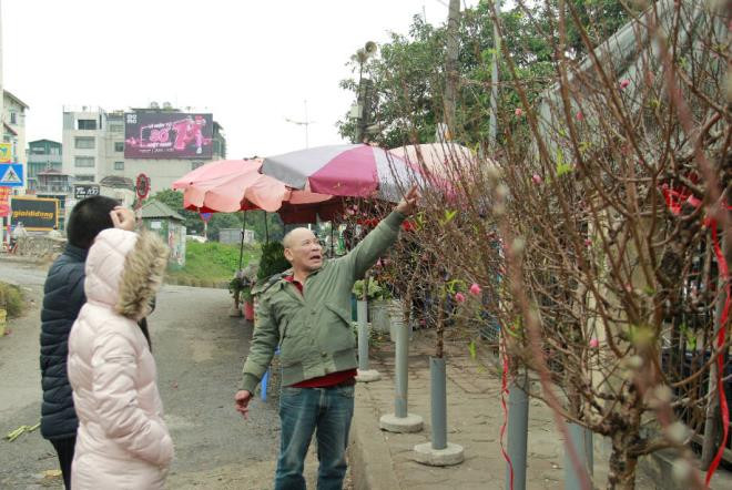 Tùy thuộc vào kích thước, những cành đào có giá bán khác nhau. Bình quân, cành nhỏ thường có giá từ 80.000 - 250.000 đồng. Những cành to hoặc được uốn, tạo dáng có giá từ 500.000 ngàn đồng - 1 triệu đồng.
