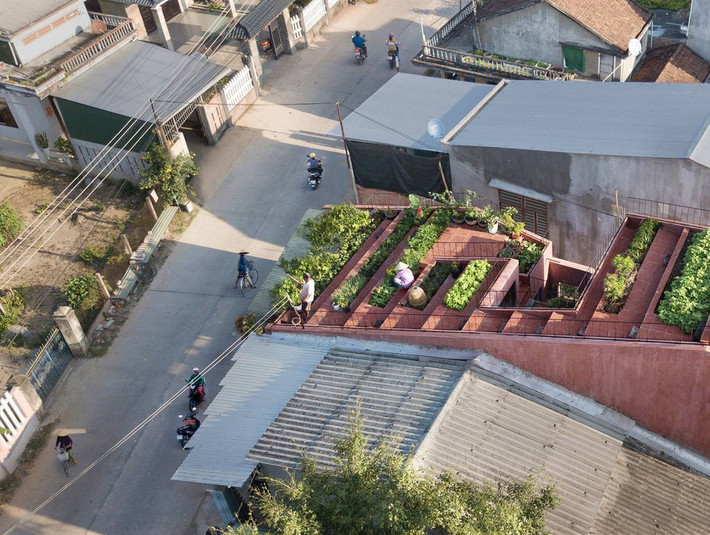 Một căn nhà khác ở Quảng Ngãi có diện tích 190 m2 được thiết kế vườn rau bậc thang ngay trên tầng thượng khiến nhiều người ngưỡng mộ.