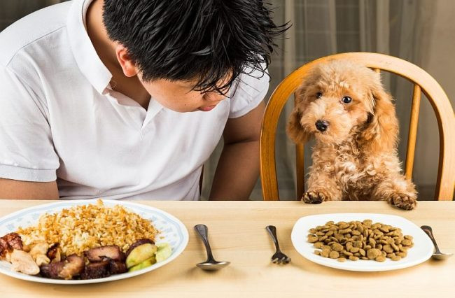 Để làm ra hương vị thức ăn cho chó mèo những công ty thức ăn có một bộ phận nơi mọi người làm công việc nếm thức ăn với mức lương 75.000 USD/năm (khoảng 1,7 tỷ đồng/năm).