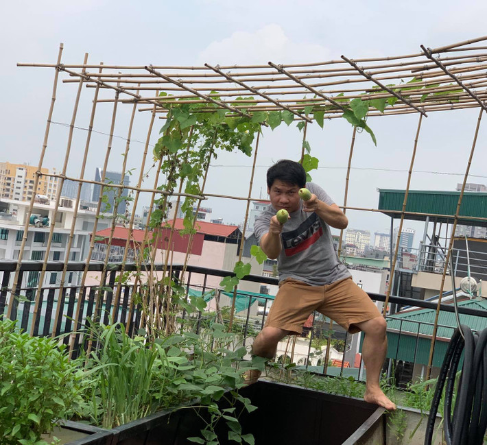 Trên sân thượng, nam ca sĩ Trọng Tấn trồng một số loại rau, quả.