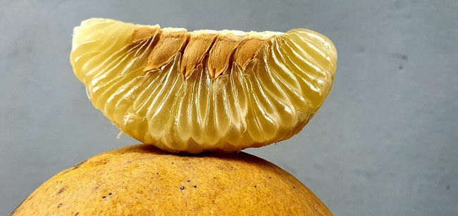 Bưởi Diễn lâu năm có màu vàng đều, rất thơm, vỏ mỏng tang, múi ráo, mùi thơm nồng nàn và vị ngọt đậm hiếm có. Ảnh: Internet.
