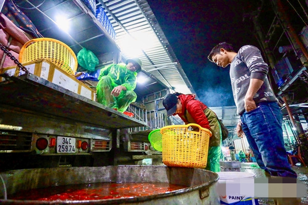 Mỗi đêm, hàng trăm tiểu thương đổ về chợ cá Yên Sở để gom mua cá chép đỏ, sau đó phân phối lại cho các chợ dân sinh. Ảnh: Kinhtedothi