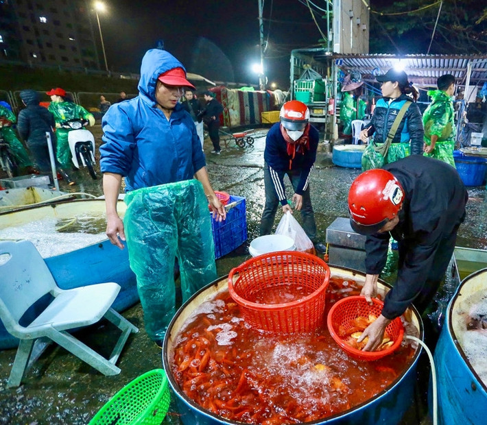 Khung cảnh tập nập, nhộn nhịp của các tiểu thương vận chuyển cá đi phân phối cho các đại lý bán lẻ. Ảnh: Kinhtedothi