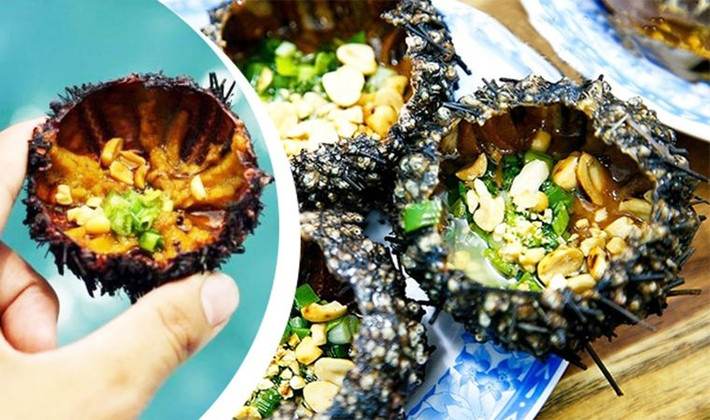 Từ xưa, nhum biển là món ăn ưa thích của giới thượng lưu Nhật Bản. Ảnh: Dulichphuquoc