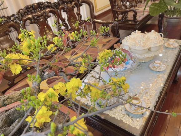 Nhà mang phong cách thuần cổ điển, lấy ý tưởng từ kiến trúc nhà hát lớn Hải Phòng. Ảnh: Facebook