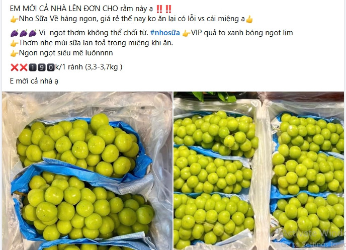 Những ngày cận Tết Nguyên đán Ất Tỵ 2025, nho sữa Trung Quốc vẫn bán tràn ngập chợ Việt với mức giá rất rẻ. Ảnh chụp màn hình