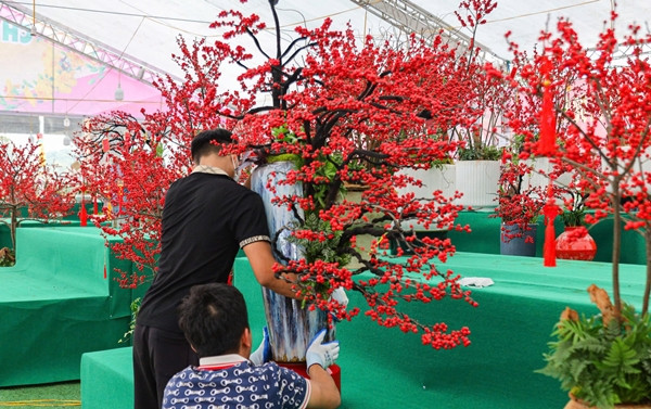 Để ghép một chậu đào đông, người thợ thường mất 2 đến 3 tiếng cho một chậu bé, riêng với những chậu to sẽ mất từ 10 đến 20 tiếng. Ảnh: Công luận
