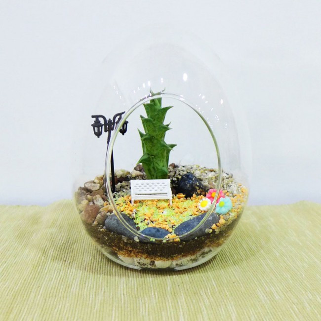 Terrariums phù hợp với các loại cây hoa đá, xương rồng. Ảnh: Makeyourown.