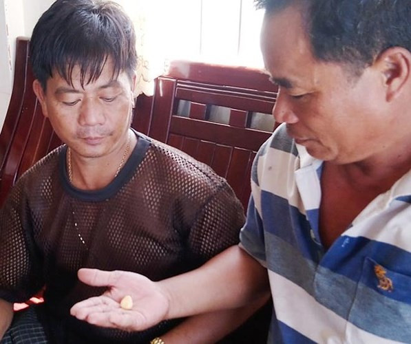 Nhưng giá trị nhất trong con ốc hoàng đế chính là viên ngọc. Đây là một trong số ít những loài ngọc quý nhất, đắt nhất, ngọc trai chẳng là gì so với nó. (Ảnh: Báo Tiền phong)