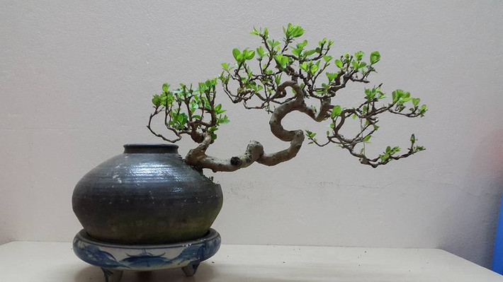 Sản phẩm được tạo ra là sự kết hợp giữa kiến trúc, hội họa, điêu khắc của các nghệ nhân.