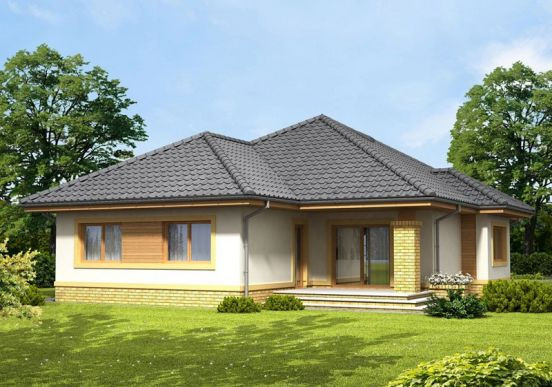 Mẫu nhà đơn giản, dễ thiết kế, có sân vườn mát mẻ phù hợp với lối sống thành thị. Ảnh: Internet.