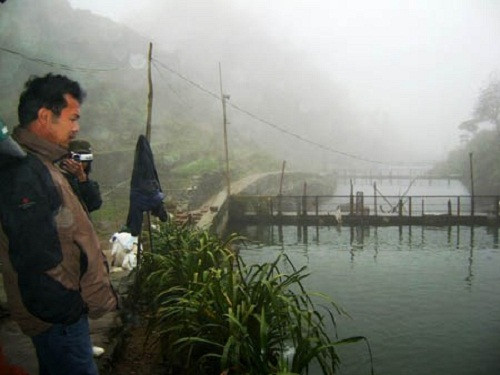 Đến Sa Pa, Lào Cai, du khách không chỉ được ngắm cảnh đẹp núi rừng mà còn được chiêm ngưỡng trang trại bạc tỷ nuôi cá hồi vắt ngang lưng chừng thác của tỷ phú Nguyễn Thái Thịnh, ở tổ 7, xã Tả Phìn. Ảnh: Dân Việt.