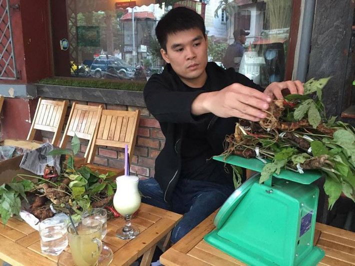 Sâm Ngọc Linh là một trong 5 loại nhân sâm thượng đẳng trên thế giới. Dù có giá bán lên tới 50 - 60 triệu đồng/kg nhưng loại sâm này vẫn được giới nhà giàu đặt mua làm quà biếu Tết. Ảnh: Vietnamnet.