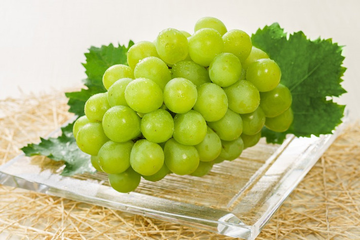 Nho mẫu đơn Nhật Bản - Shine Muscat là một trong những giống nho nổi tiếng thơm ngon và đắt đỏ. Ảnh: Okayama.
