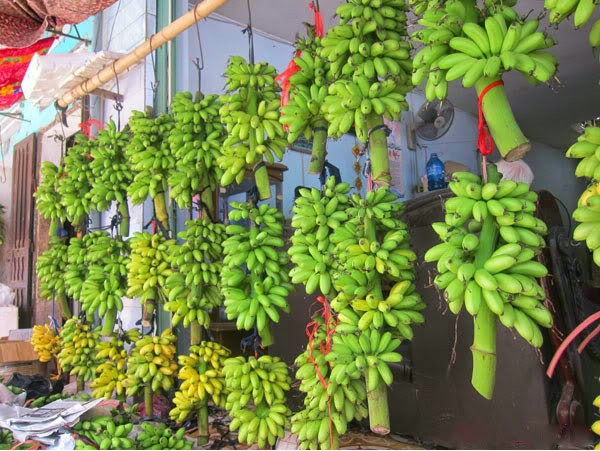 Trái ngược với chuối khổng lồ, chuối ngự tiến vua lại cho quả rất nhỏ. Tuy nhiên, loại chuối này khá đắt đỏ vì hương vị thơm, ngon, vị ngọt đậm đà. Chuối ngự Đại Hoàng (Hà Nam) là nổi tiếng nhất.