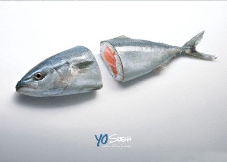 Sushi cá hồi dưới cách nhìn sáng tạo đầy liên tưởng.