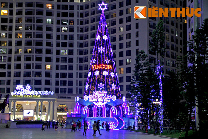 Phía trước sân khu Vincom Mega Mall, một cây thông khổng lồ đã được dựng lên, khiến nhiều người trầm trồ, thích thú.