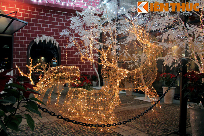 Phía bên ngoài, các khu sân vườn khách sạn đều được trang trí lung linh với những mô hình tuần lộc, lá cây, đèn nhấp nháy.