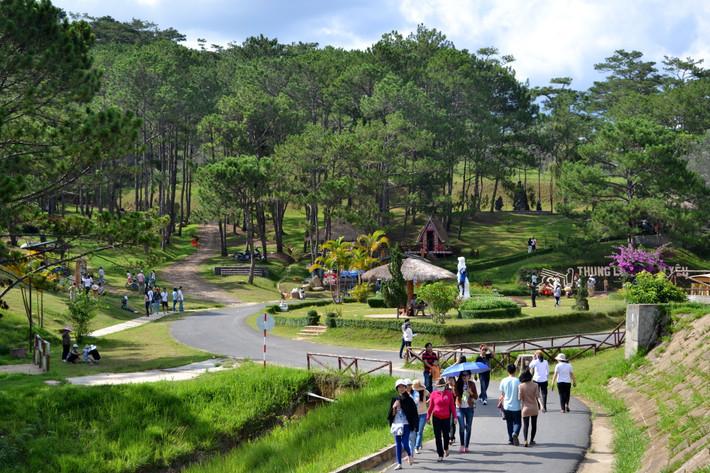 Ông Đỗ Minh Anh (giám đốc công ty lữ hành Việt) cho biết: "Năm nay, Festival hoa Đà Lạt diễn ra trong 6 ngày từ 29/12/2015 - 3/1/2016, trùng với dịp nghỉ lễ nên tour đi Đà Lạt tăng gấp đôi so với năm ngoái. Giá tour Hà Nội - Đà Lạt (3 ngày 2 đêm) vì thế có nhiều khuyến mại, từ 2 triệu đồng/người".