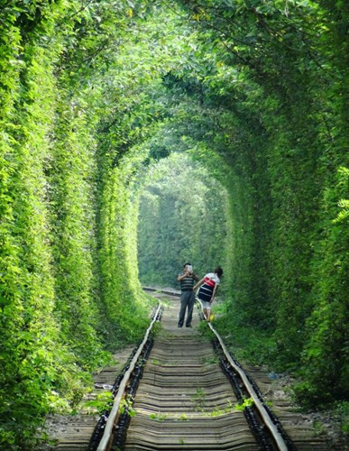 Đoạn đường ray chạy qua vòm cây xanh được mệnh danh là “Đường hầm tình yêu” trở thành địa điểm hấp dẫn bạn trẻ sau khi những bức ảnh về con đường này được đăng tải lên mạng xã hội Weibo vào năm 2014.