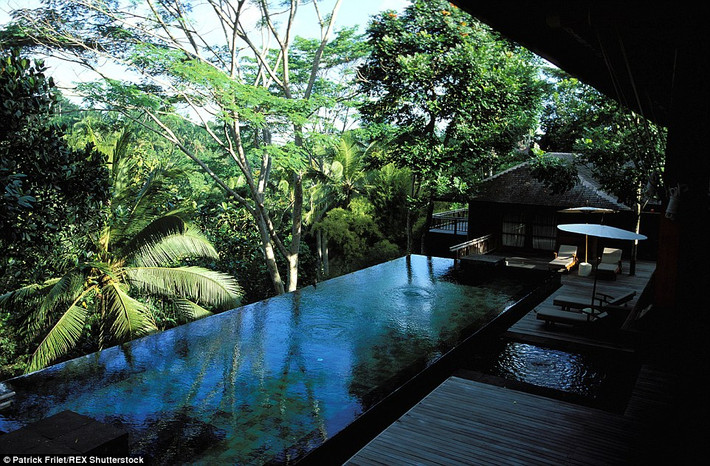Du khách có thể vừa bơi vừa ngắm cảnh thiên nhiên xunh quanh tại khách sạn COMO Shambhala, Bali, Indonesia.