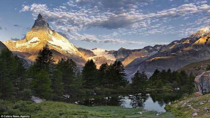 Rừng thông xanh mướt dưới chân núi Alps ở Thụy Sĩ.