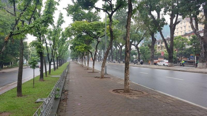 Còn nickname Tuan Pham thì vui vẻ bình luận rằng: "Phải chăng với quang cảnh này, Hà Nội sẽ trở thành thành phố đáng sống nhất hành tinh. Những đoạn đường hàng ngày tắc dài vài kilomet giờ lại trở nên thoáng đãng. Một mình một đường là có thật".