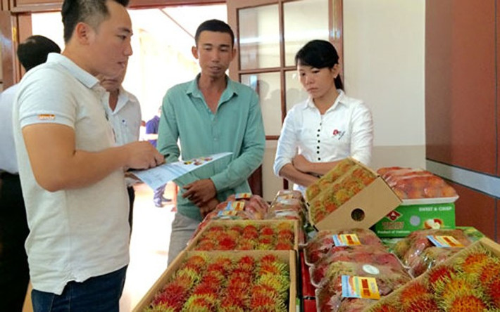 Đây là mặt hàng nông sản thứ 3 của Việt Nam, sau xoài và thanh long được New Zealand nhập khẩu. (Ảnh: Dân Việt)