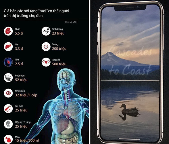 Giá trị những bộ phận trên cơ thể được quy ra tiền để mua được iPhone Xs.