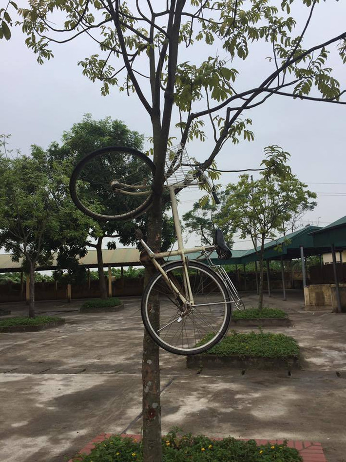 Dù tỏ ra rất tức với trò đùa của lũ bạn nhưng chủ nhân của những chiếc xe chỉ biết ngậm ngùi tự gỡ xe xuống để đi về nhà.
