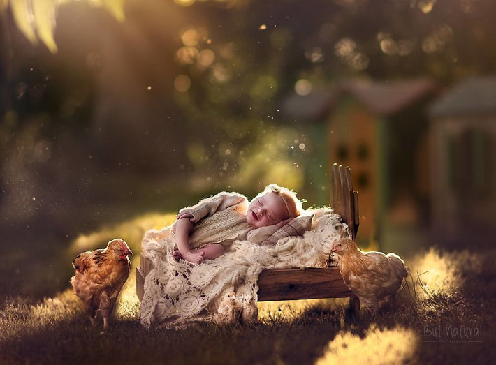 Chú chó từng là người bạn thân thiết của rất nhiều em bé bởi trong các bức hình chụp cho khách hàng (là bố mẹ của các bé sơ sinh), họ rất thích con cái họ chụp với chú chó đáng yêu Mustag.