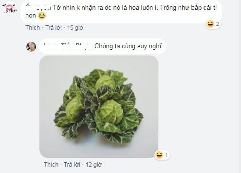 Bức ảnh bắp cải nở xòe được dân mạng bình luận dưới những bức ảnh của nickname Thủy Nguyễn khi khoe thành phẩm hoa hồng xanh đặc biệt của mình.