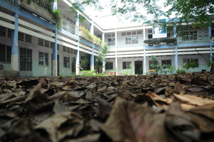 Sân trường hoang vắng. Theo quan sát, ngôi trường tiểu học này nằm ngay mặt tiền đường Tân Kỳ Tân Quý rất thuận lợi, có nhiều cây xanh toả bóng mát.