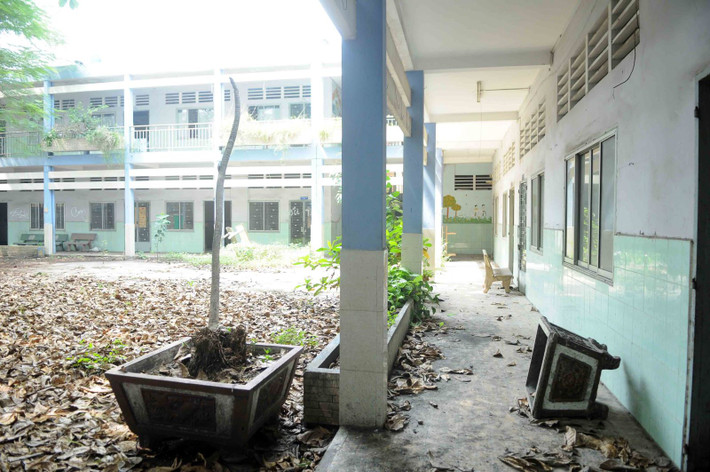 Nhiều cây cảnh không được chăm sóc đã chết khô.