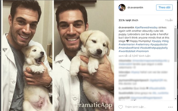 Evan Antin, bác sĩ thú y ở bệnh viện Conejo Valley Veterinary, Mỹ.
