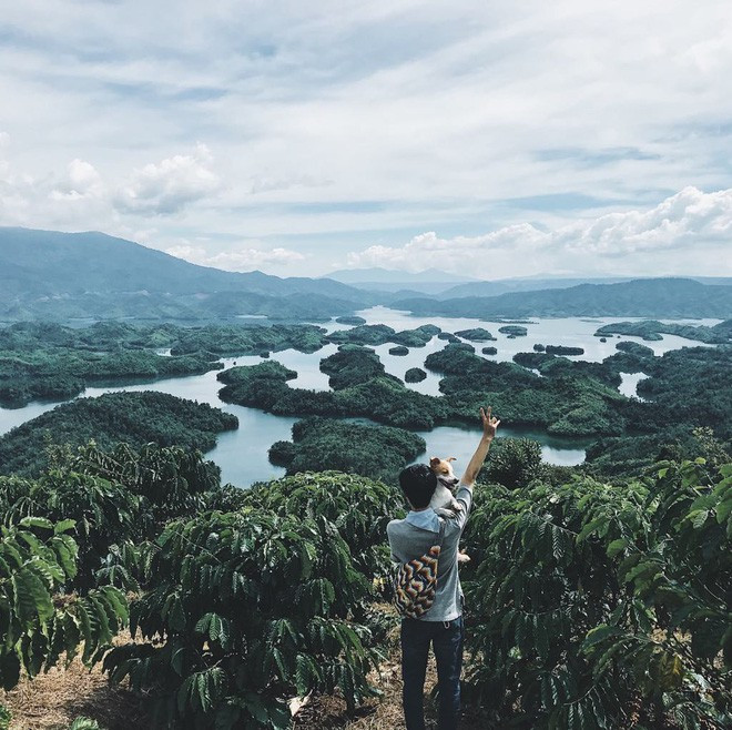 Chú chó ngoan ngoãn nằm trong lồng quan sát đường xá. Họ như 3 người bạn cùng hướng về cái đích chung trong chuyến đi của tuổi trẻ.
