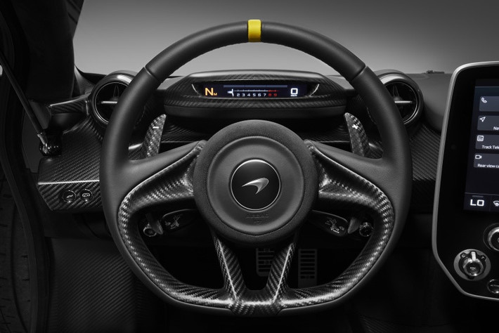 Trong khi một chiếc Senna có giá 750.000 bảng Anh (hơn 1 triệu USD), phiên bản Senna Carbon Theme còn đắt hơn ít nhất là 300.000 bảng Anh (tương đương 412.568 USD). McLaren cũng cho biết sẽ có thêm 4 phiên bản Senna được trưng bày tại triển lãm Geneva.