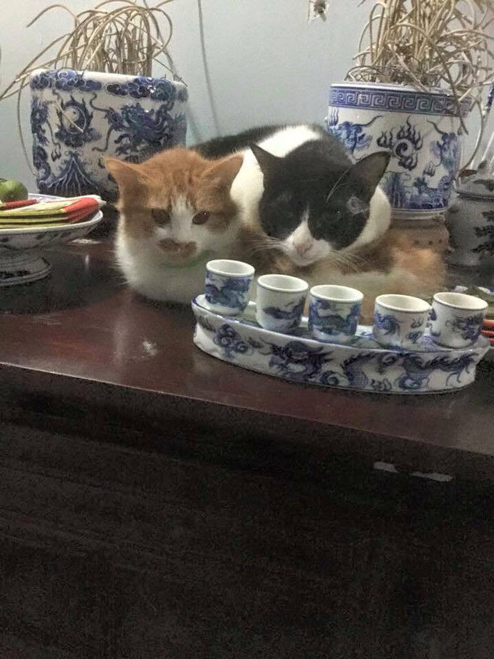 Đã bất kính với thánh thần thì cũng phải có bạn.