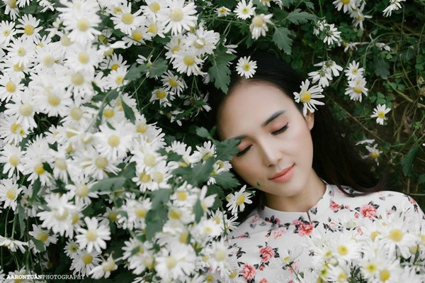 Cứ mỗi độ cuối tháng 10, đầu tháng 11 Hà Nội đẹp nhất vì bởi sắc trắng của cúc họa mi được dệt trên khắp phố phường. Dù chỉ mới bước sang tháng 10, nhiều bạn trẻ đã thì thầm tai nhau về "cái hẹn" với loài hoa tuyệt đẹp này.