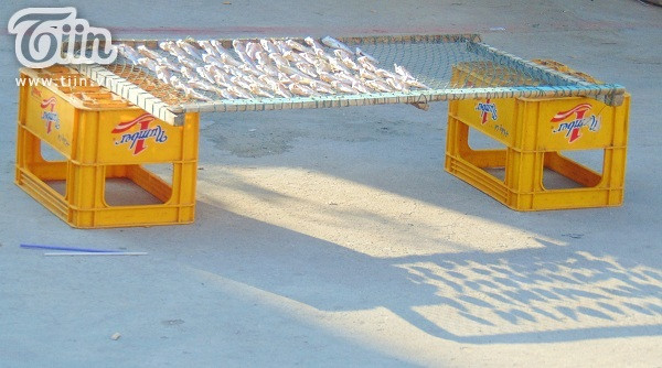 Nhất định phải ra bờ đá sau đảo, lúc thủy triều xuống sẽ xuất hiện một con đường dẫn thẳng ra khơi. Đây là nơi sống ảo lý tưởng dành cho những bạn yêu thích chụp ảnh. Buổi chiều có thể tắm biển ngay bờ kè bao quanh đảo, bạn nhớ là phải chọn chỗ có bậc thang để dễ dàng lên bờ.
