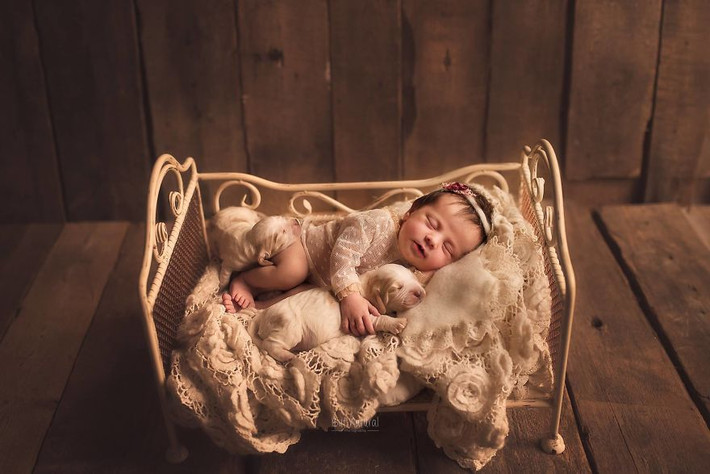 Và Sujata đã bắt đầu tìm kiếm những con vật nhỏ xinh xung quanh mình để bầu bạn với con, cũng như tạo ra những bức ảnh tuyệt vời của cô.