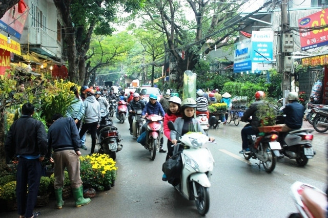 Có dịp ghé chợ Bưởi vào phiên chợ cuối cùng của năm vào ngày 29 tháng Chạp âm lịch, bạn sẽ bị choáng ngợp trước muôn vàn loại hoa, cây cảnh khoe sắc, cùng hòa vào dòng người mua hoa chơi Tết.