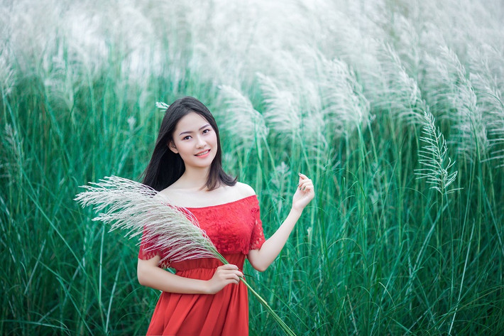Bãi cỏ lau ở Thanh Chương rộng hơn nhiều lần ở Nam Đàn và cảnh sắc nơi đây cũng khiến nhiều bạn trẻ phải phát mê bởi quá đẹp.