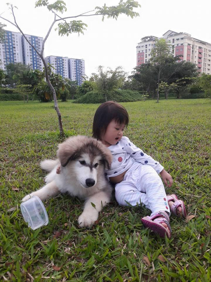 Hình ảnh Xuka béo thân thiện được vợ chồng anh Danny Nguyễn thường xuyên chia sẻ trên trang cá nhân.