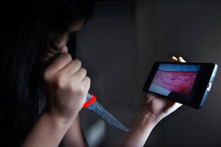 Thử thách Cá voi xanh (Blue Whale Challenge) là một trò chơi truyền thông xã hội có nguồn gốc từ Nga, xuất hiện cách đây vài năm và đã lan truyền ra khắp thế giới. Đặc biệt trong thời buổi sức mạnh của Facebook, Youtube và Instagram đang phát triển thì thử thách "bệnh hoạn" này càng có thời cơ nảy nở và mới đây theo nhiều thông tin nó đã lây lan tới Việt Nam.