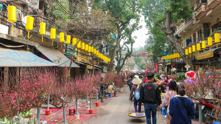 Cả dọc phố Hàng Lược những chậu quất, cành đào được người dân bày bán với đủ mọi hình hài, giá cả. Bác Minh Tuyết (67 tuổi, Hà Nội) chia sẻ: "Tôi là một người dân trong phố cổ, nhìn những hình ảnh này khiến tôi nhớ về Tết xưa rất nhiều. Cũng chiều 30 Tết như này, những gia đình lao động như nhà tôi mới bắt đầu sắm Tết. Nhà có 4 người thì chia nhau ra, bố tôi thì mua cành đào, mẹ thì tranh thủ đi mua vài thứ mứt, kẹo, anh tôi thì đi mua lá thơm về để đun nước tắm, còn tôi bé nhất nên được theo bố đi chọn cây".
