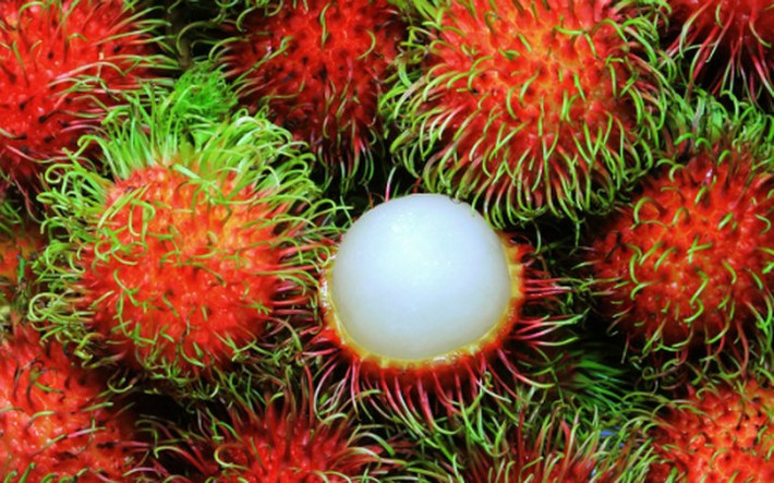 Việt Nam là nước đầu tiên xuất chôm chôm tươi vào New Zealand. (Ảnh: Báo Công Thương)