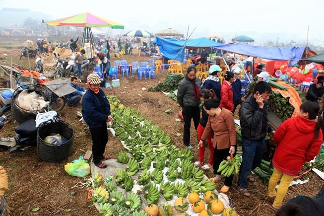 Chợ chủ yếu bán nông sản, vật nuôi, đồ dùng gia đình như chiếu cói, chổi tre, nón lá, áo quần, tăm đũa tre, bánh rán, kẹo bột, bỏng gạo. Trong phiên cuối cùng của năm, chợ Nủa bán nhiều hàng hóa phục vụ dịp Tết.