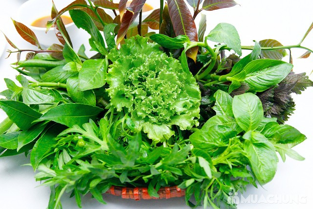 Lá rau nhái thường được người dân vùng ĐBSCL dùng làm món rau sống ăn riêng hoặc ăn chung với nhiều loại rau tập tàng khác. Rau nhái thường được ăn với cá linh, cá đồng kho, thịt kho, mắm kho…trong những bữa cơm dân dã, đạm bạc ở miền quê. Ngoài ra, chúng ăn kèm với các món cuốn tráng thịt heo.