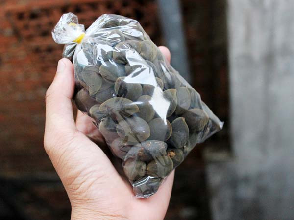Trái xay có hình bầu dục hơi dẹp, màu đen hay nâu thẫm, vị ngọt, chua nhẹ. Trái xay có chứa lượng đạm protein thấp, chất xơ dạng thô cao vừa phải, nên loại quả này có thể giúp giảm nồng độ cholesterol trong máu, được nhiều người rất ưa chuộng. Với nhiều người dân, trái được xem là "lộc rừng" vì mang lại thu nhập cao.
